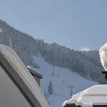 Traube Zell am See