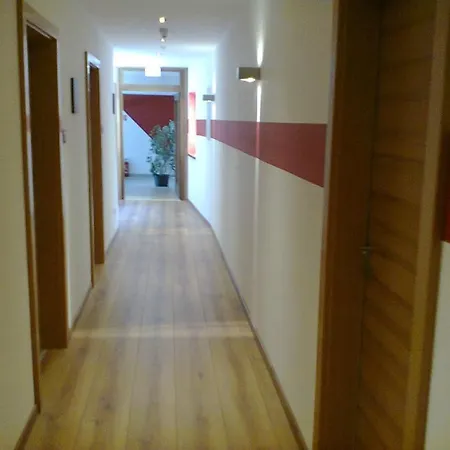 Otel Traube Zell am See